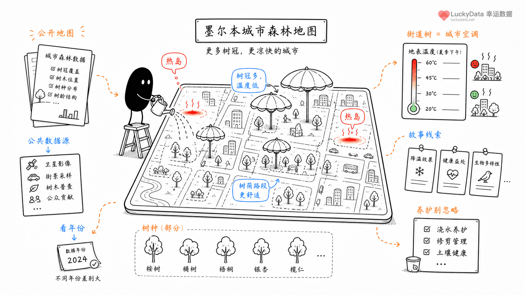 小黑用更丰富的画面整理「一棵街边树，为什么也能成为城市数据故事？」这篇素材的公开信息线索